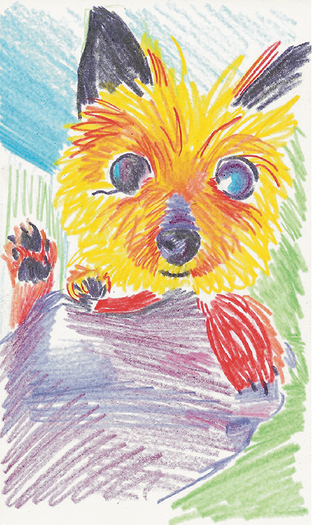 Colored pencil drawing of a yorkie being held. Her little backfoot is peeking over the person's hand