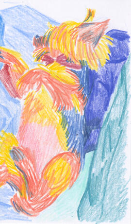 Colored pencil drawing of a yorkie laying on her back with her legs in the air.